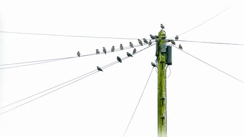 What Is the Difference Between Communication and Dissemination in Horizon Europe?