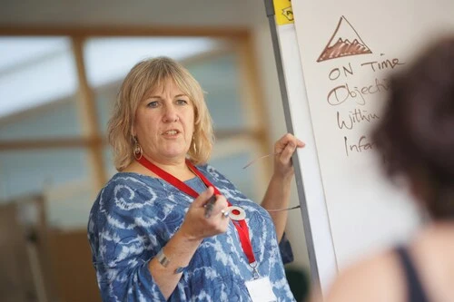 What does a Horizon Europe project coordinator do?